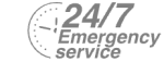 24/7 Emergency Service Pest Control in Brent Cross, Hendon, NW4. Call Now! 020 8166 9746