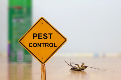 Pest Contol in Brent Cross, Hendon, NW4. Call Now 020 8166 9746
