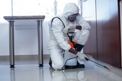 Emergency Pest Control, Pest Control in Brent Cross, Hendon, NW4. Call Now 020 8166 9746