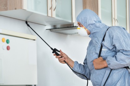 Home Pest Control, Pest Control in Brent Cross, Hendon, NW4. Call Now 020 8166 9746